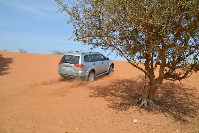 Wild National Park & Sahara Desert Including Couscous & Tajine