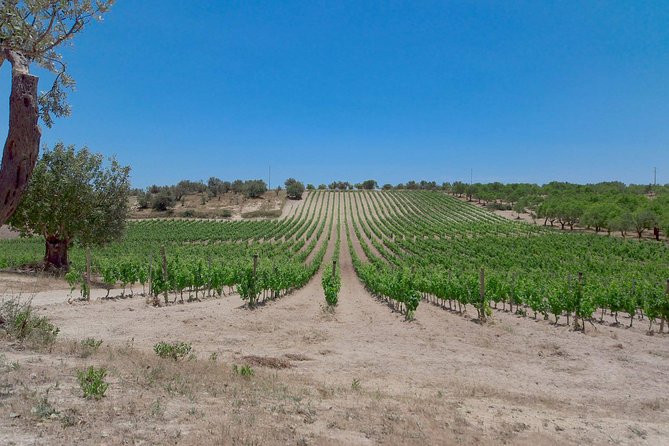Wine and Food Baroque Day Tour – Private Experience