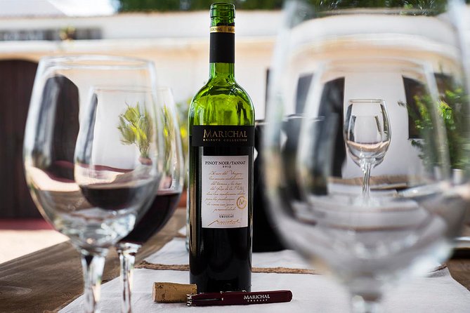Wine Cellar & Tasting in Montevideo With Outstanding Lunch