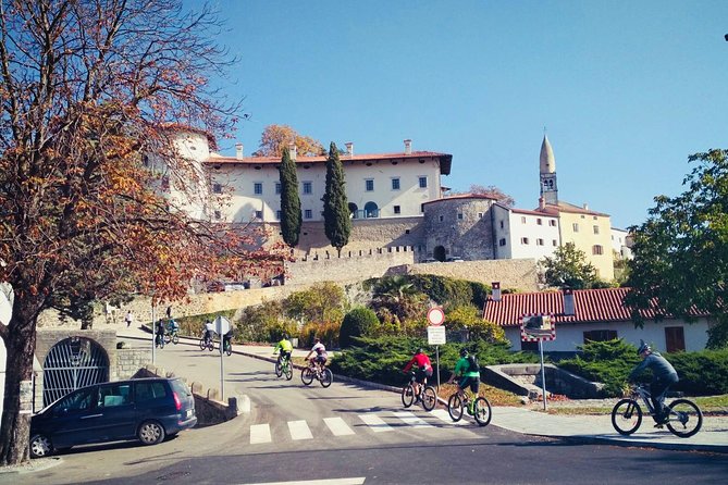 Wine Cycling Tour by E-Bike