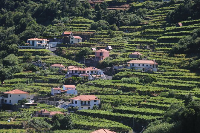 Wine Tasting and Jeep Adventure in Madeiras Majestic Countryside