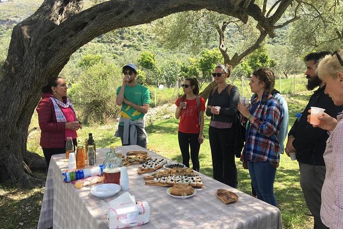 Wine Tasting and Olive Oil in Tirana Surroundings
