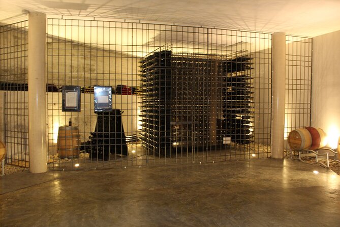 Wine Tasting Experience in Oltrepò