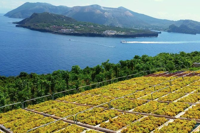 Wine Tasting in Vineyard at the Sunset in Lipari Island