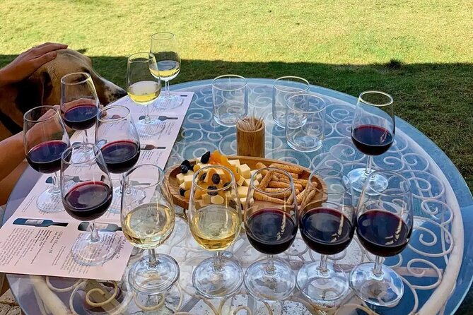 Wine Tasting Tour at Two Wineries in Urla Turkey - Exploring Urlas Wine Country