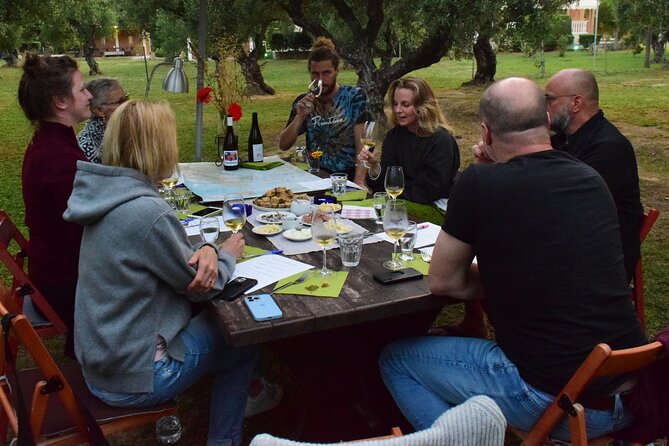Wine Tasting With Panagiotis - Overview of the Experience