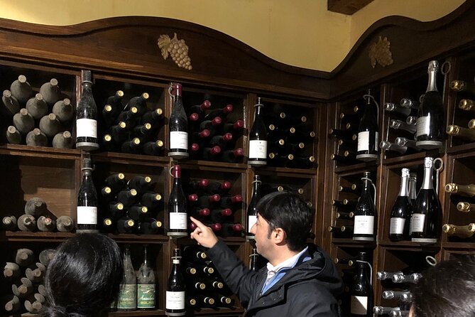 Wine Tour and Mount Etna Combo Private Experience From Taormina