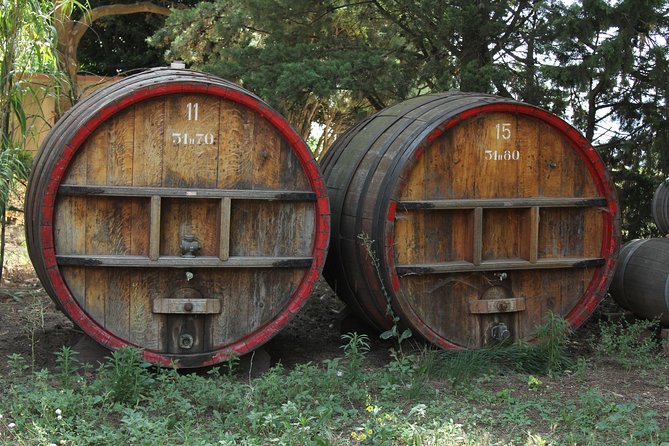 Wine Tour Bandol & Cassis From Marseille