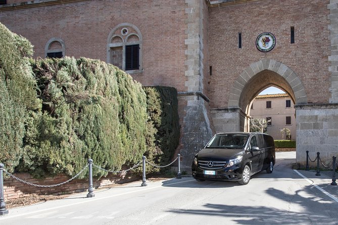 Wine Tour Bolgheri Half Day Shore Excursion From Piombino Port