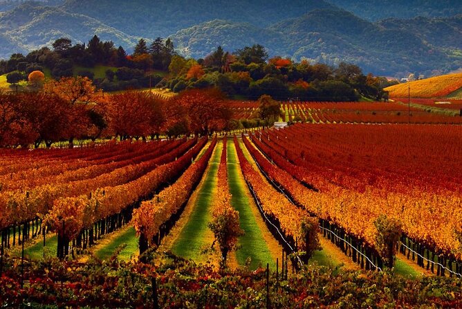 Wine Tour up to 6 Passengers