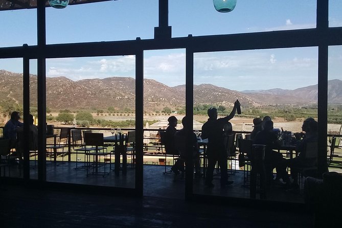 Wine Tours and Driver Service Through Valle De Guadalupe, Ensenada B.C. Mexico - Pricing and Booking