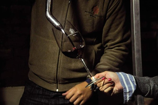 Winemaker for a Day. Learn How to Make Your Own Wine