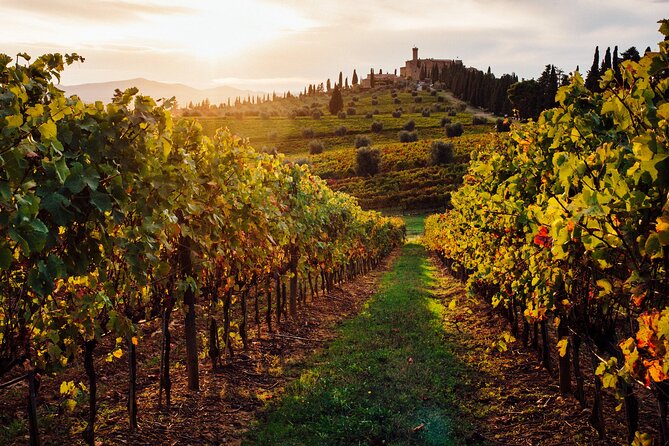 Winery Tour and Tasting - Accessibility and Transportation