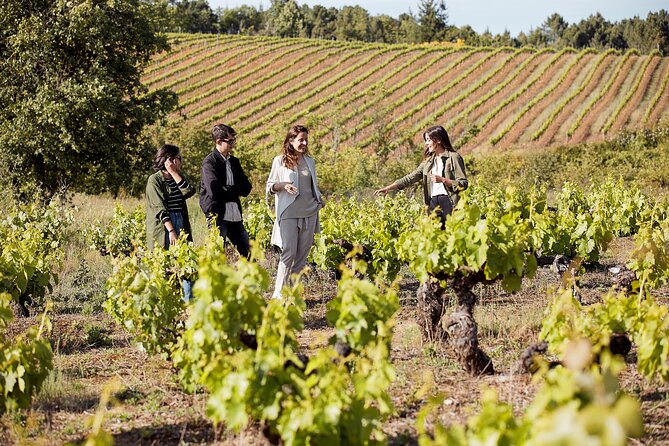 Winery Tour and Tasting at the Galician Estate