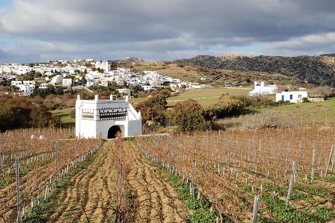 Winery Tour and Tasting in Tinos With the Winemaker