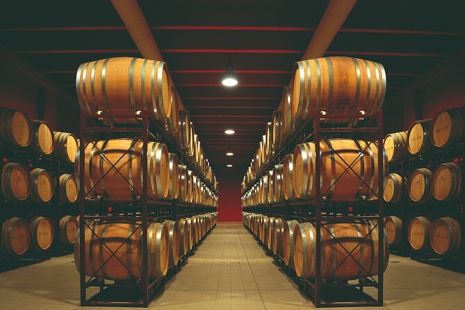 Winery Tour and Wine Tasting in Montepulciano Dabruzzo
