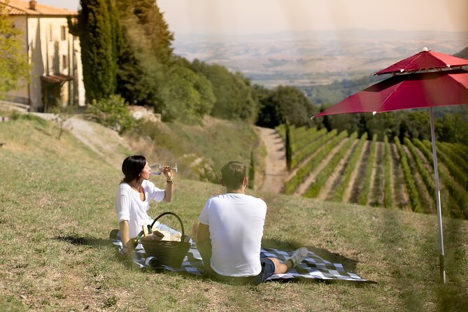 Winery Tour & Picnic in the Vineyard With a Bottle of Wine