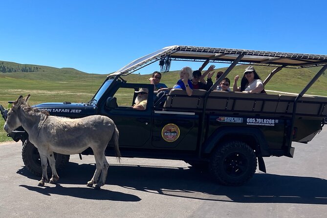 Winter – Custer Bison Safari + Black Hills Sunset & Stargazing