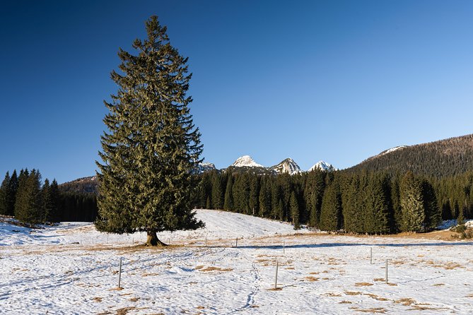 Winter Hike in Julian Alps
