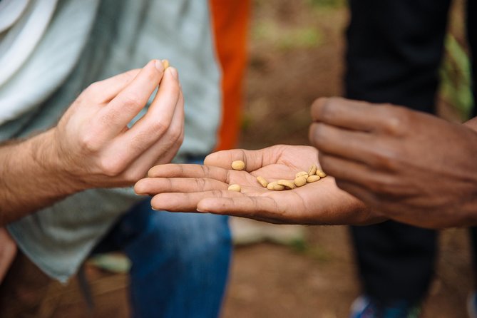Women-led Coffee Farm Trek