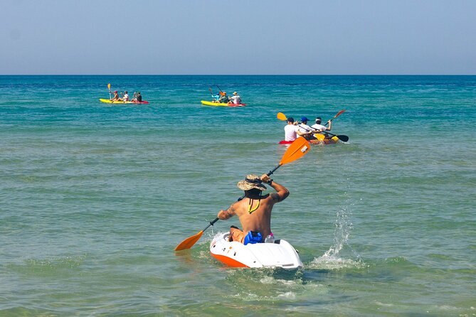 WWF Kayak Tour From Cala Manbrù to Torre Salsa Reserve