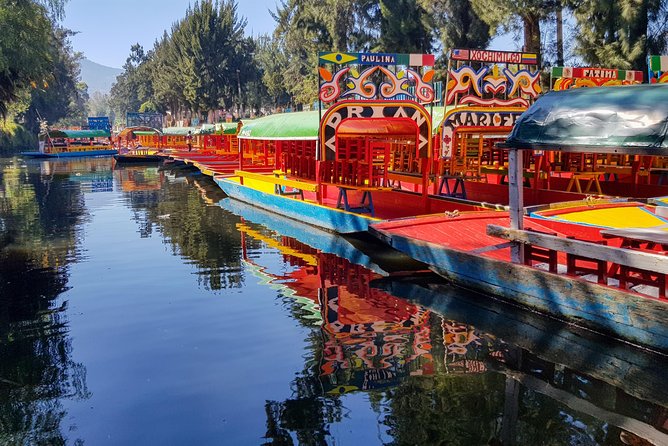 Xochimilco, Coyoacan, Aztec Stadium & UNAM