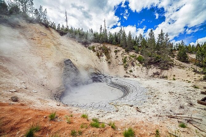 Yellowstone Lower Loop VIP Full-Day Private Tour With Lunch - Overview of the Tour