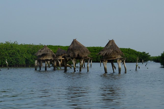 Your Private Driver & Tour Guide in Senegal-The Shell Island