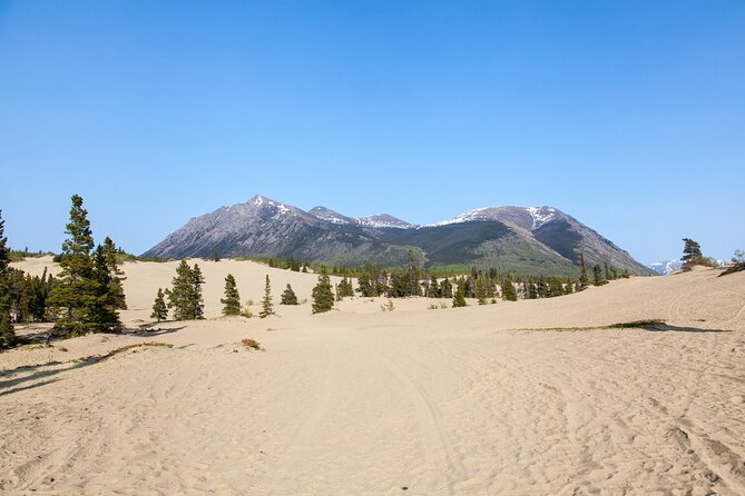 Yukon Escapade: Lakes, Wilderness, and Hidden Gems