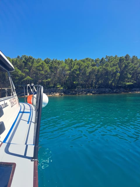 Zadar: Private Tour to Ugljan, Osljak and Galevac - Half Day