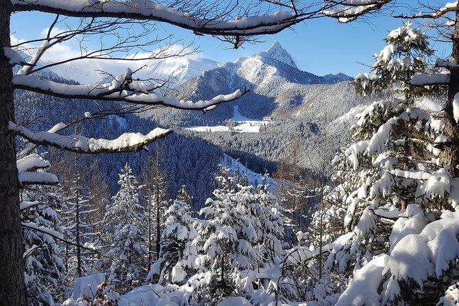 Zakopane - the Winter Wonderland - Private Tour From Krakow - Booking Confirmation and Infant Seats
