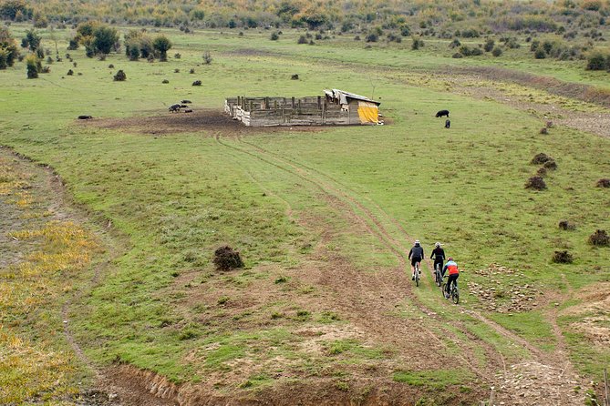 Zasavica Bike Tour - Tour Overview