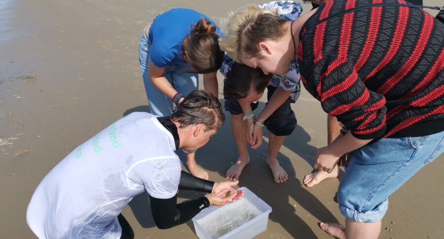 Zeeland Strand Safari Met Visnet Nl/En/De Private Tour - Tour Overview