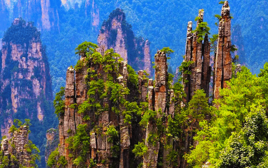 Zhangjiajie Must See Avatar Mountain& Glass Bridge Day Tour