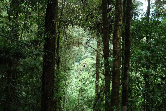 Zip Lining Adventure From San José