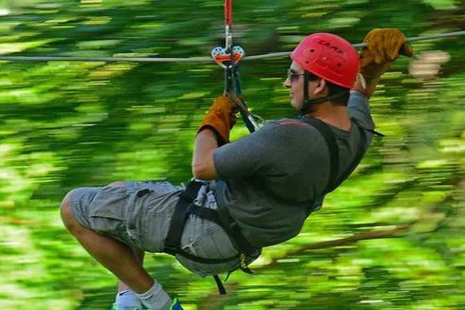 Zipline Canopy & Dunns River Falls Tour With Admission From Grand Palladium