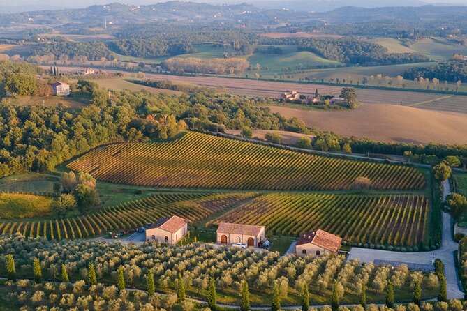 1h30m Wine Tasting and Visit to Val DOrcia - Good To Know