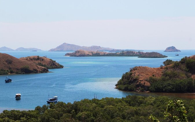 2-Day Komodo National Park and Rinca Island Wildlife Adventure From Bali - Good To Know