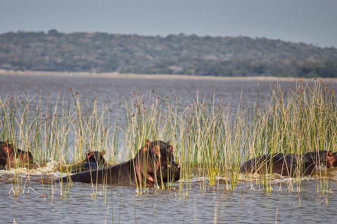 2-Day Maputo Special Reserve Guided Tour - Good To Know