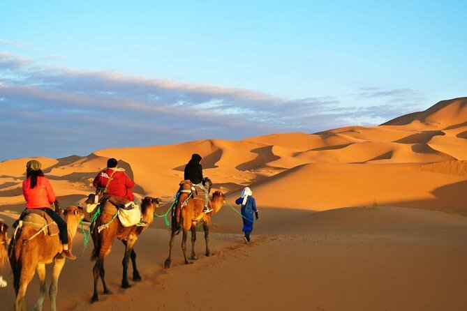 2 Day Private Fez Desert Tour to Merzouga - Tour Overview