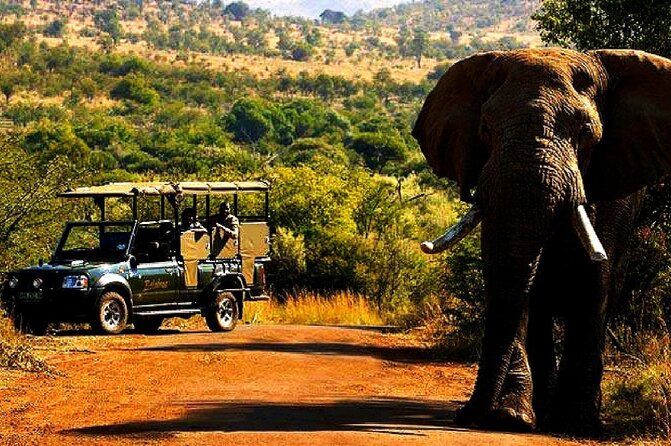 2 Day Private Pilanesberg Guided Tour - Good To Know