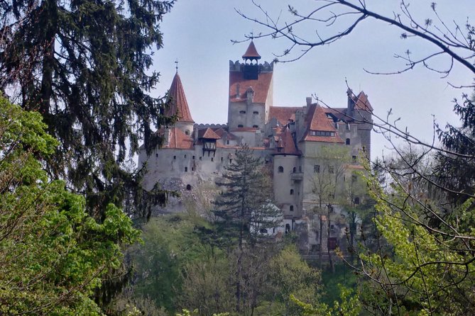 2-Day Transylvania Culture Trek From Brasov - Small Group Tour - Good To Know