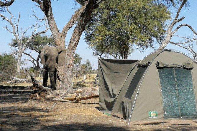 2 Day Wilderness Trail: Okavango Delta and Moremi - Camping Safari - Key Points