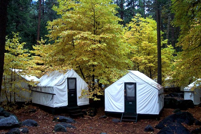 2-Day Yosemite National Park Winter Tour From San Francisco - Tour Overview and Experience