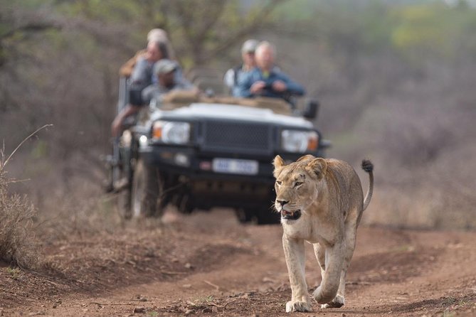 2 Day Zulu Safari Adventure From Durban - Tour Overview