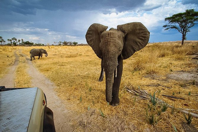 2 Days In Ruaha National Park. - Key Points