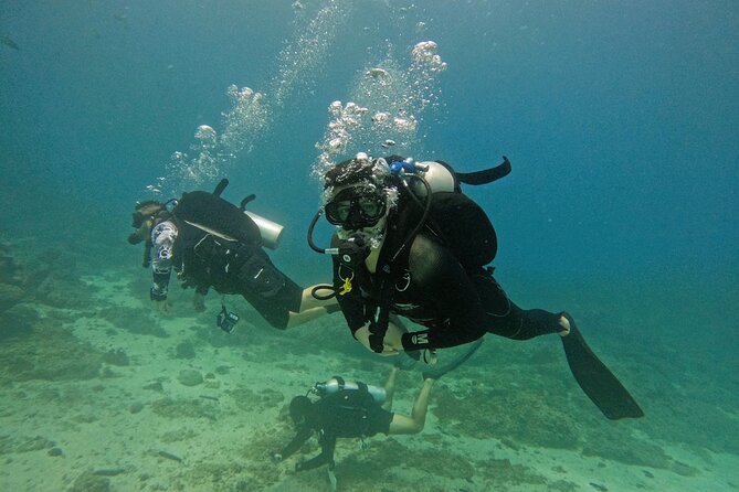 2 Dives for Certified Divers in Fujairah With BBQ Lunch - Good To Know
