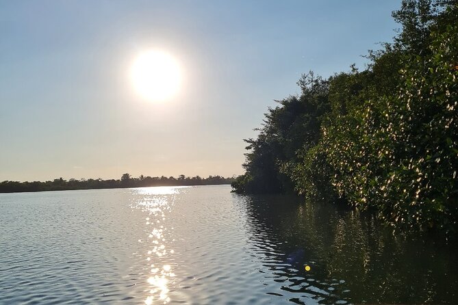 2-Hour Boat Tour in Quepos - About Your Stay