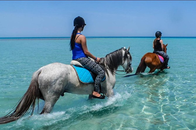 2-Hour Horse Riding Adventure on The Sea and Desert in Hurghada - Overview and Pricing