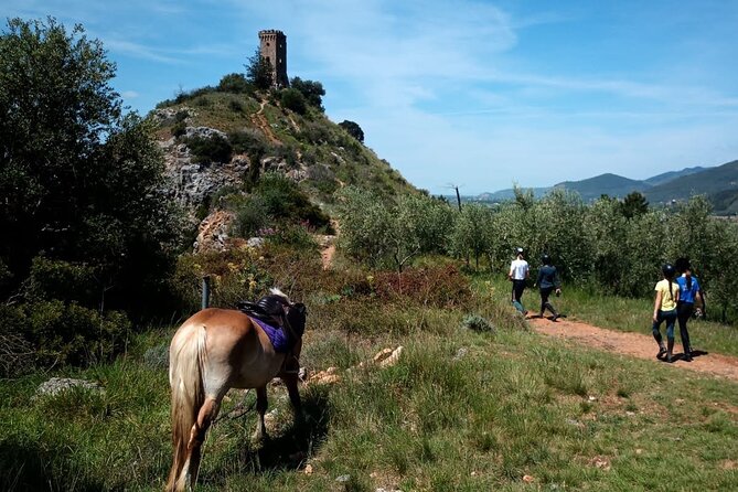 2 Hour Horseback Ride for Experts in Valgraziosa (Pisa) - Meeting Point and Pickup
